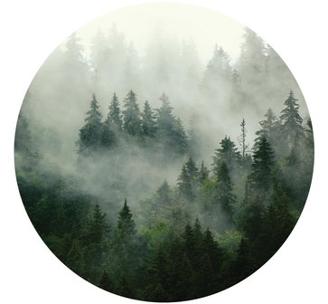 Behangcirkel Misty Forest