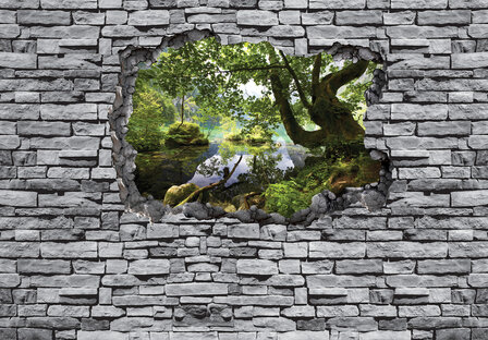 Stenen muur fotobehang 3D Boszicht