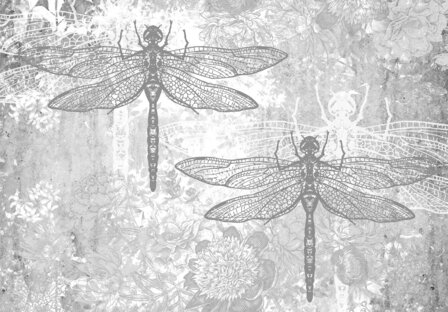 Dragonfly fotobehang Libelle