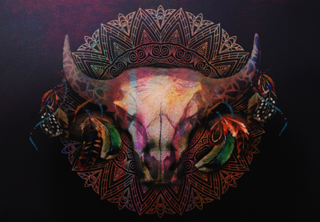 Mandala fotobehang Bull Horns