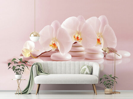 Orchidee fotobehang Zacht roze