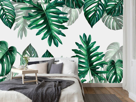 Monstera bladeren fotobehang - B