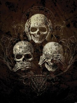 No Evil Skulls Alchemy fotobehang