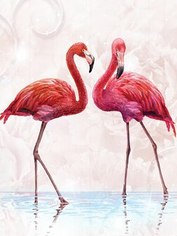 Flamingo fotobehang