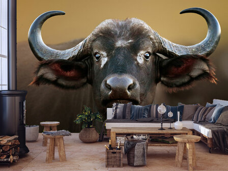 Buffel fotobehang