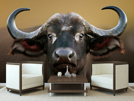 Buffel fotobehang