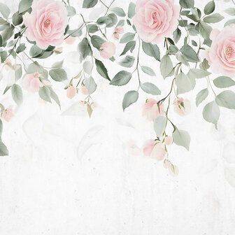 Hangende roze Rozen fotobehang 