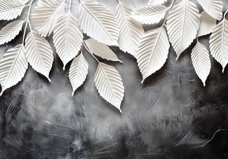 3D witte bladeren fotobehang Donkere muur