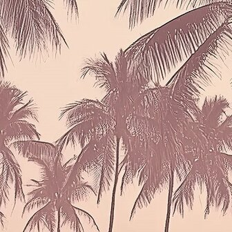 Strand fotobehang Palm Trees Sunset