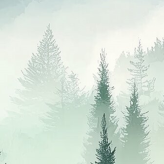 Bos fotobehang Misty Pine Forest