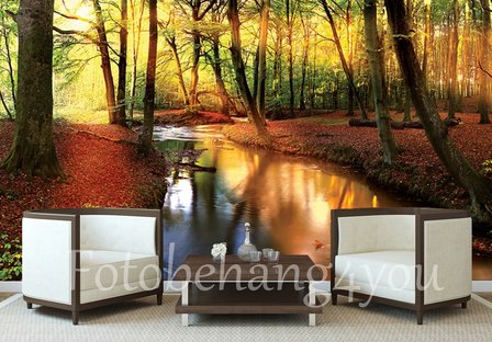 Bos fotobehang bosbeek