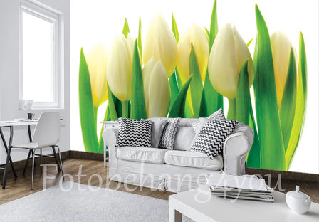 tulpen fotobehang