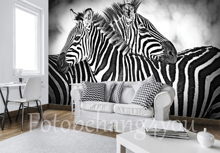 binden Teleurstelling gevangenis Zebra fotobehang | papier-, vlies- of vinyl behang vanaf 39,95 -  Fotobehang4you