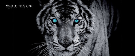 Tijger poster zwart wit