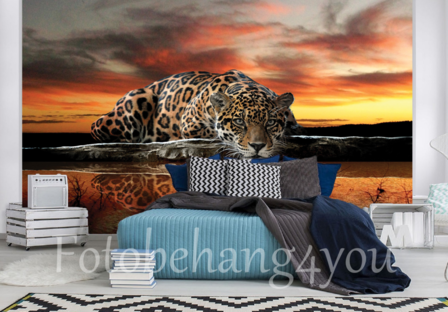 Jaguar behang