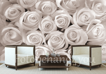 Witte rozen behang