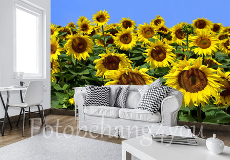 zonnebloemen behang