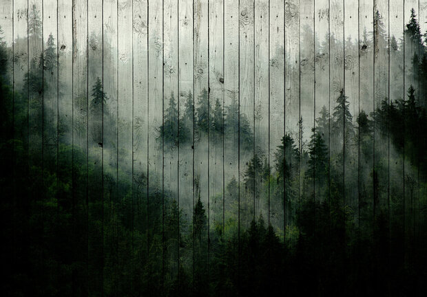Misty Forest op hout fotobehang