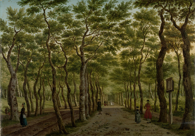 Het Herepad in het Haagse Bos behang Rijksmuseum