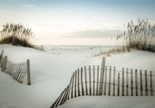 Strand en duinen fotobehang