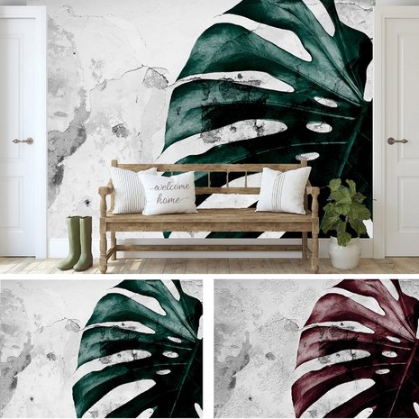 Monstera blad op beton behang