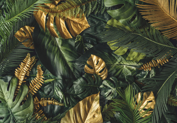 Monstera bladeren behang Groen Goud | - Fotobehang4you