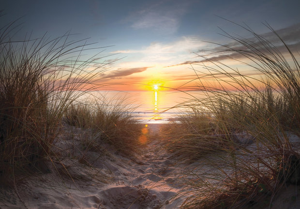 Strand fotobehang Zonsondergang