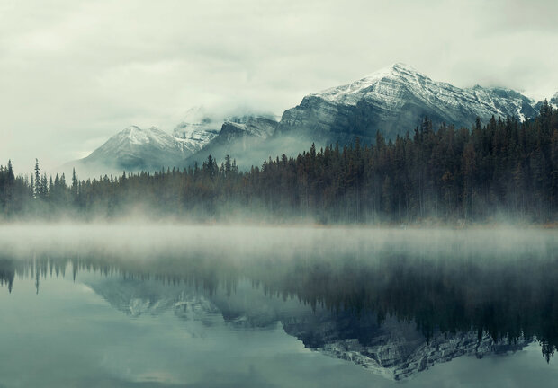 Misty Lake fotobehang