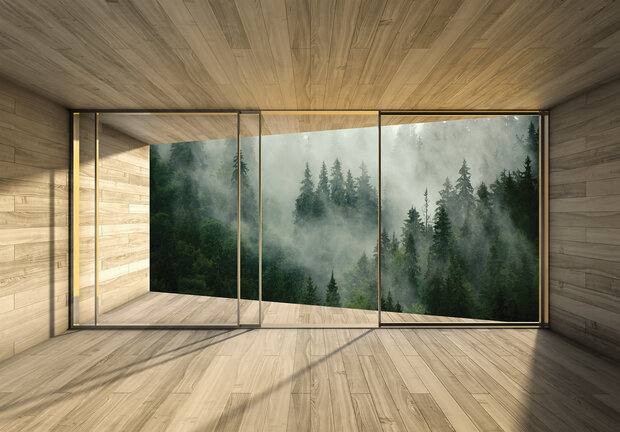 3D behang Misty Forest