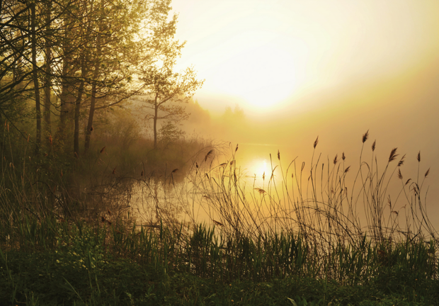 Mistig landschap behang