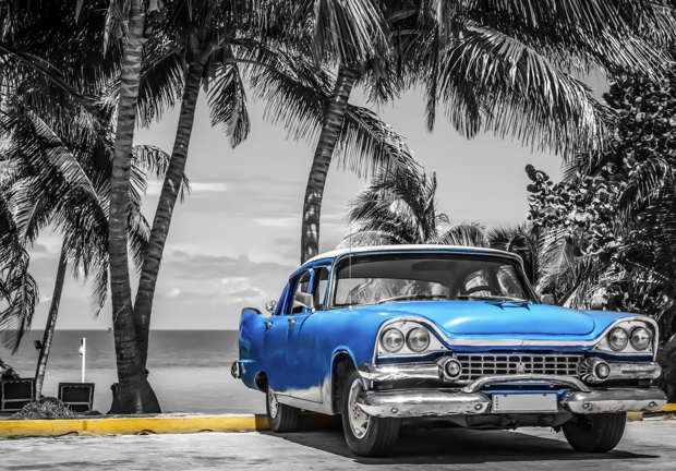 Palmbomen en Oldtimer fotobehang blauw