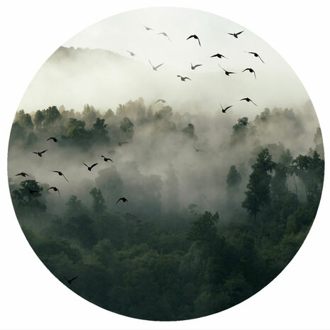 Behangcirkel Misty Forest Birds
