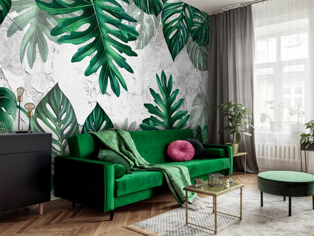 Monstera bladeren fotobehang - C