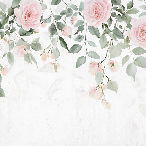 Hangende roze Rozen fotobehang 