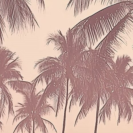 Strand fotobehang Palm Trees Sunset
