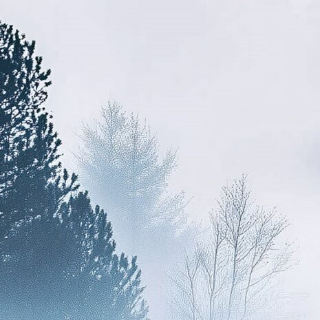 Bos fotobehang Foggy Forest