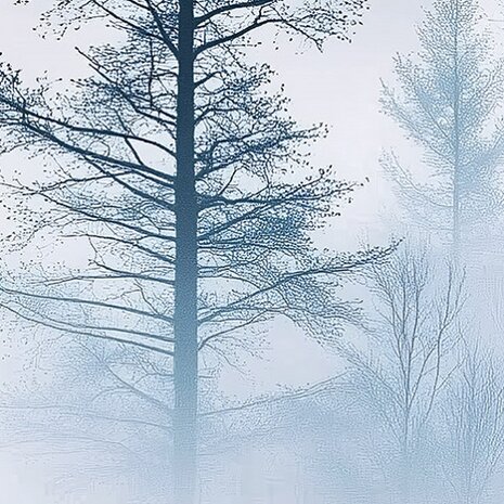 Bos fotobehang Foggy Forest