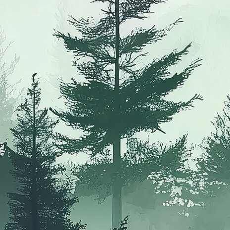 Bos fotobehang Misty Pine Forest