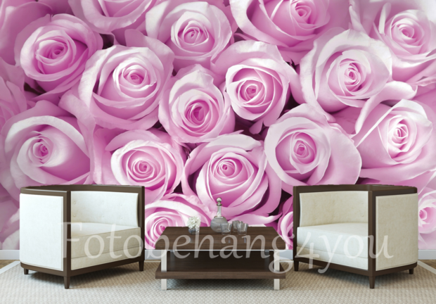 Rozen behang pink