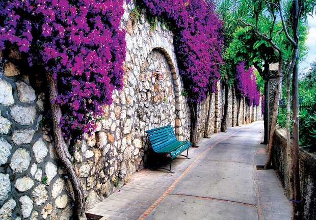 Bougainville straatje fotobehang