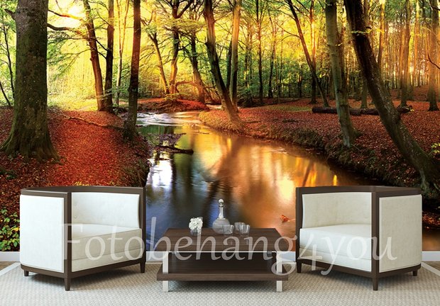 Bos fotobehang bosbeek