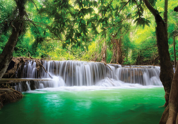 Waterval jungle fotobehang