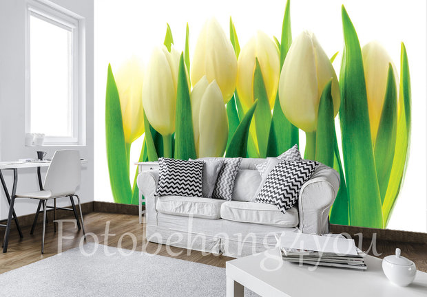 tulpen fotobehang