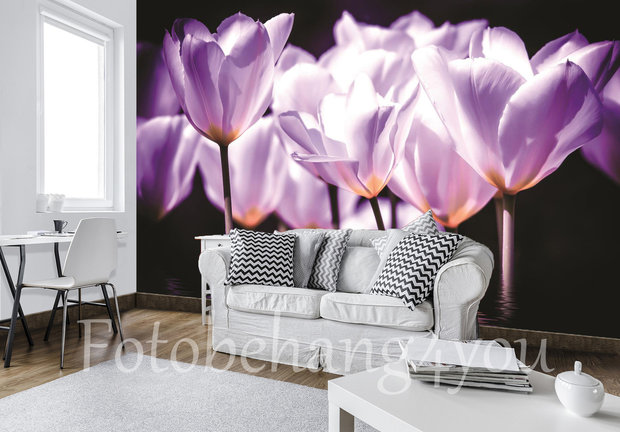 Tulpen fotobehang paars -