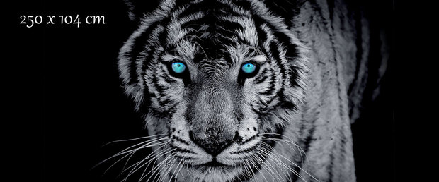 Tijger poster zwart wit