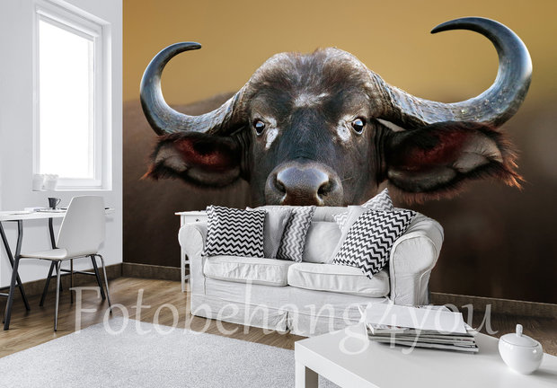 Buffel behang