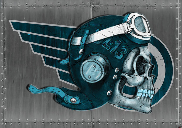 Alchemy fotobehang pilot skull