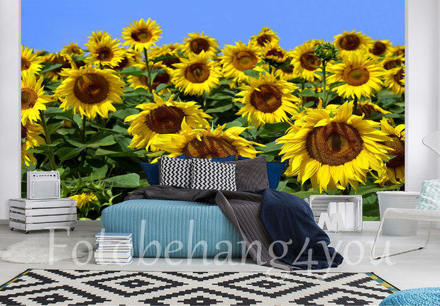 Zonnebloemen fotobehang