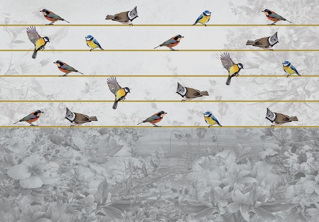 Birds on a wire fotobehang