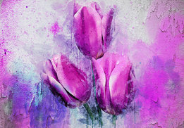 Tulpen behang op oude muur